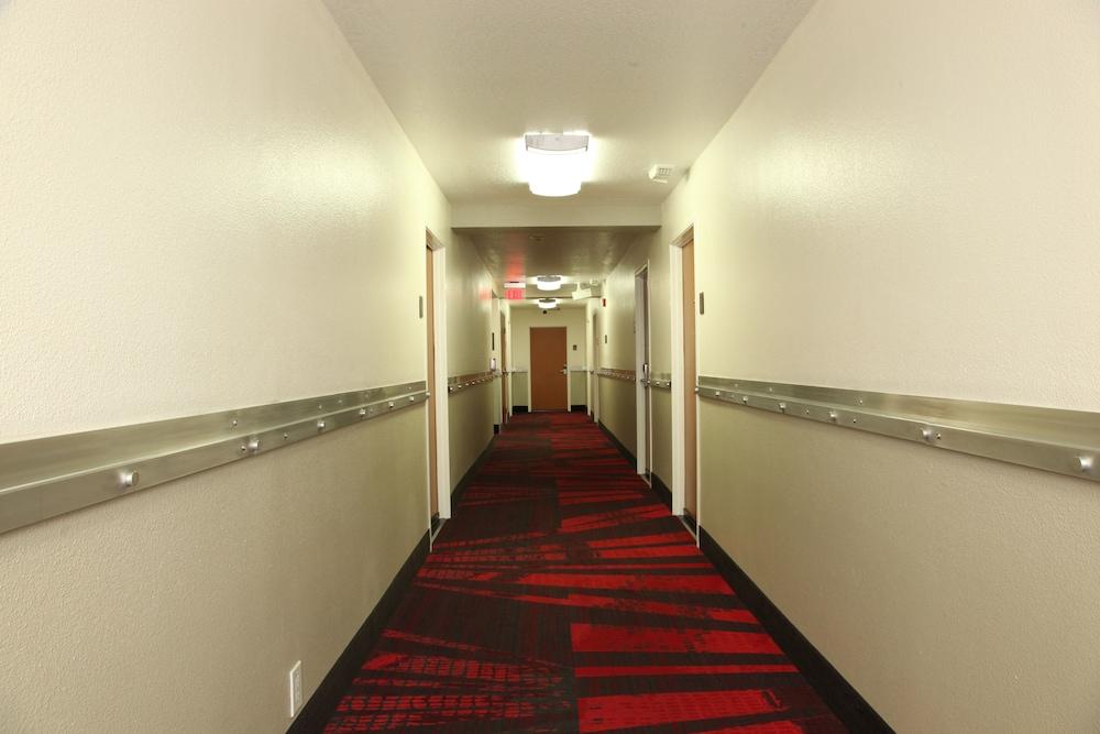 Comfort Inn Los Angeles Near Hollywood Exteriör bild